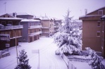 Neve 02.jpg

51,41 KB
800 x 526
22/11/2003